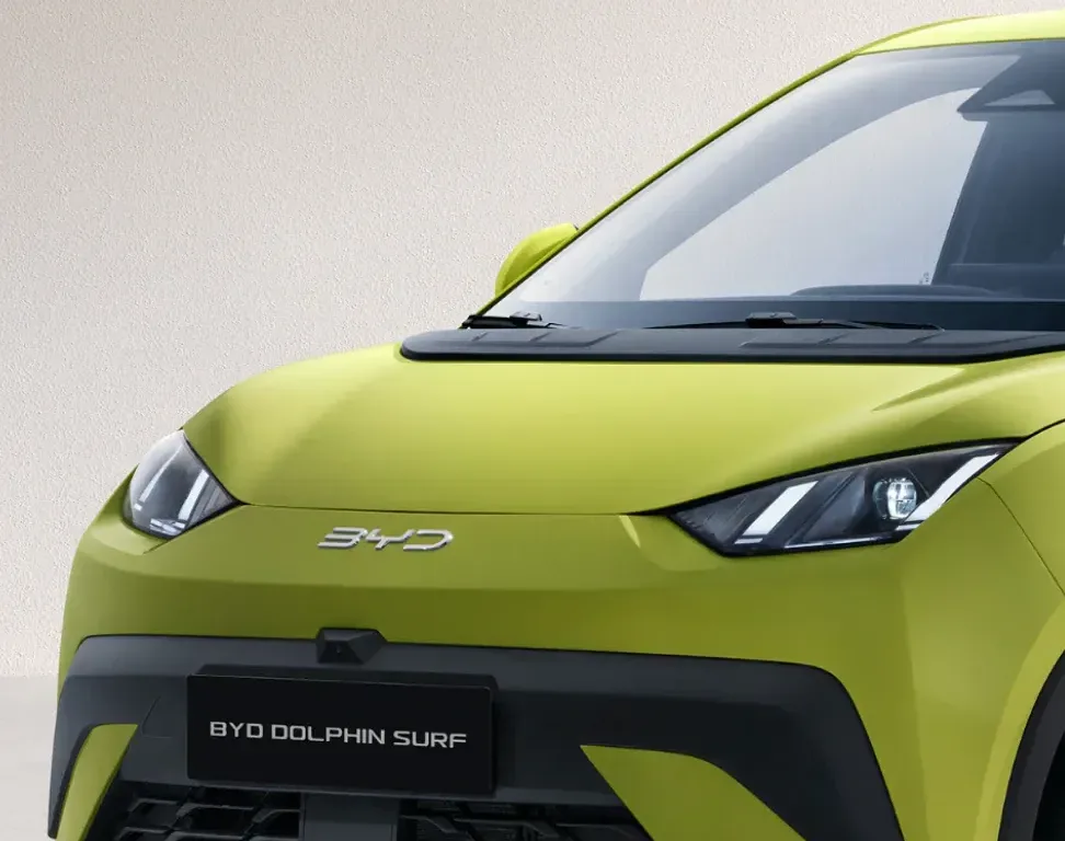 BYD DOLPHIN SURF lights