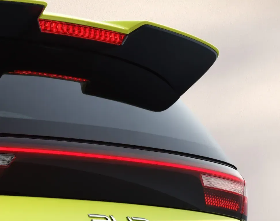 BYD DOLPHIN SURF roof