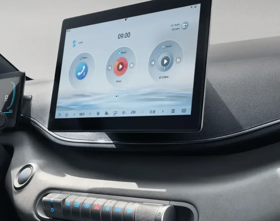 BYD DOLPHIN SURF Safe and easy to use