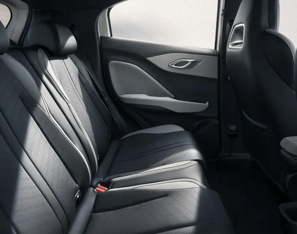 BYD DOLPHIN SURF support and comfort
