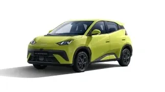 BYD DOLPHIN SURF