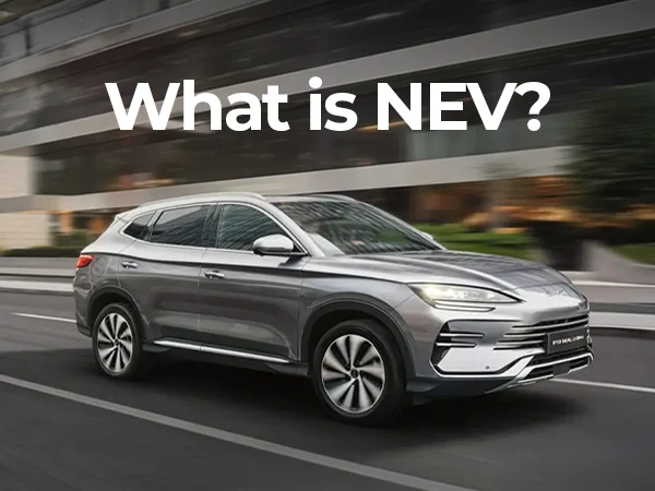 What is NEV?