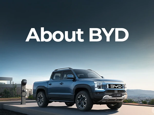 About BYD