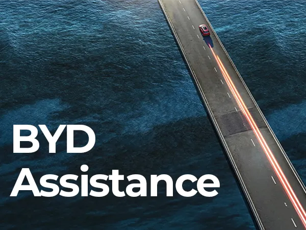 BYD Assistance