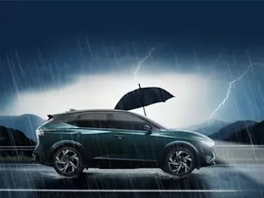Wiper Blade Offer